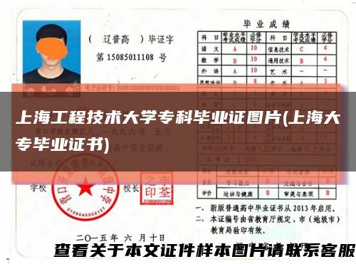 上海工程技術大學?？飘厴I證圖片(上海大專畢業證書)縮略圖
