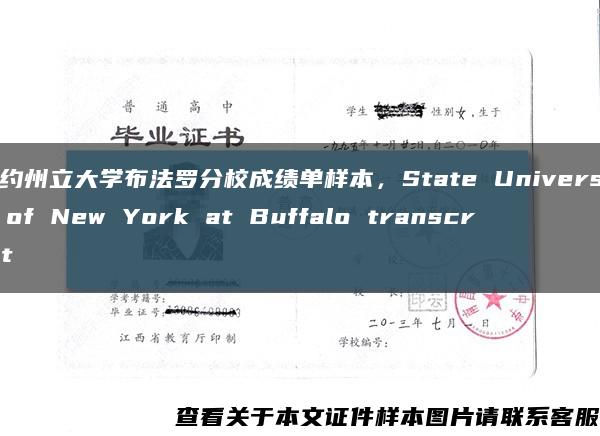 紐約州立大學布法羅分校成績單樣本，State University of New York at Buffalo transcript縮略圖