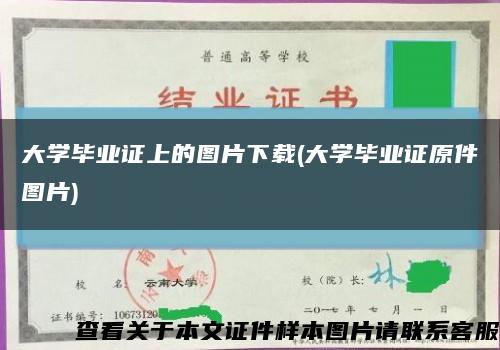 大學畢業證上的圖片下載(大學畢業證原件圖片)縮略圖