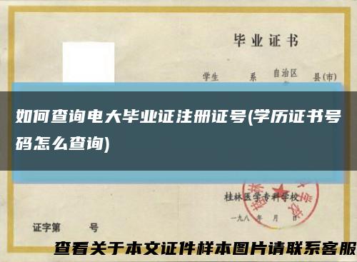如何查詢電大畢業證注冊證號(學歷證書號碼怎么查詢)縮略圖