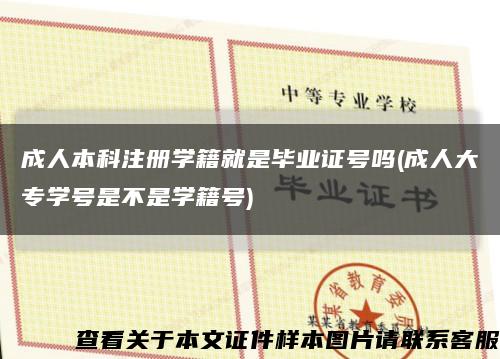 成人本科注冊學籍就是畢業證號嗎(成人大專學號是不是學籍號)縮略圖