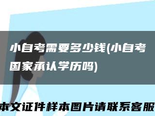 小自考需要多少錢(小自考國家承認學歷嗎)縮略圖