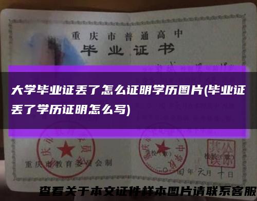 大學畢業證丟了怎么證明學歷圖片(畢業證丟了學歷證明怎么寫)縮略圖