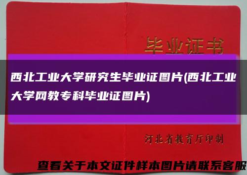 西北工業大學研究生畢業證圖片(西北工業大學網教?？飘厴I證圖片)縮略圖