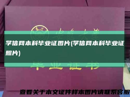 學信網本科畢業證圖片(學信網本科畢業證照片)縮略圖