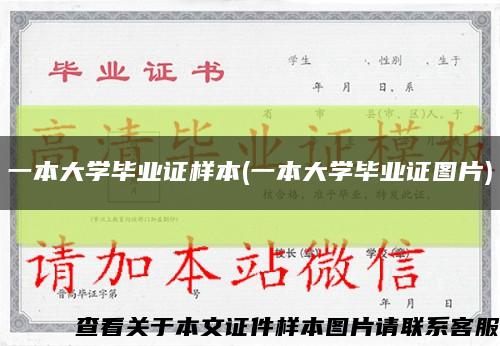 一本大學畢業證樣本(一本大學畢業證圖片)縮略圖