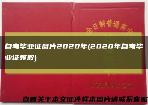 自考畢業證圖片2020年(2020年自考畢業證領取)縮略圖