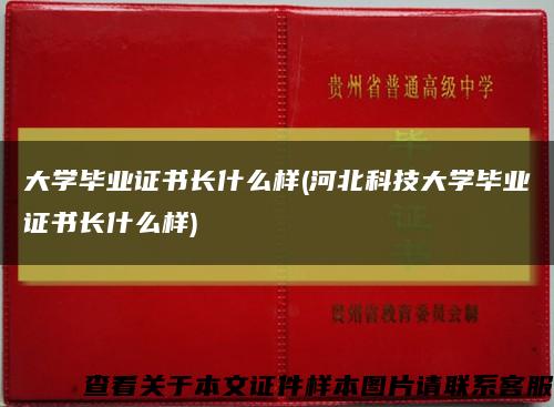 大學畢業證書長什么樣(河北科技大學畢業證書長什么樣)縮略圖
