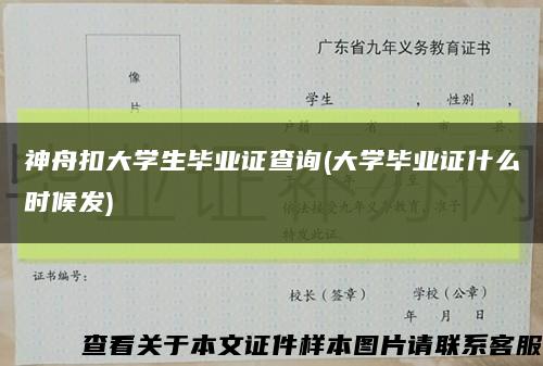 神舟扣大學生畢業證查詢(大學畢業證什么時候發)縮略圖