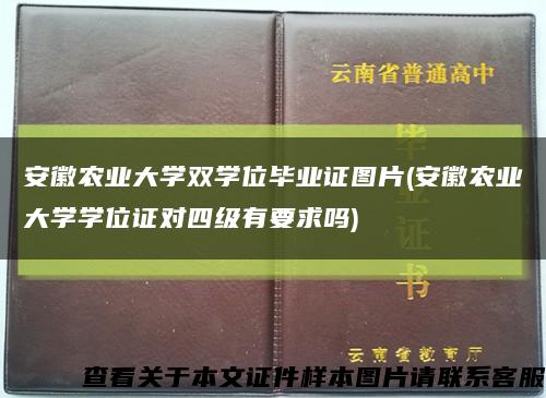 安徽農業大學雙學位畢業證圖片(安徽農業大學學位證對四級有要求嗎)縮略圖