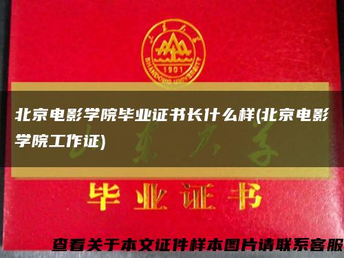 北京電影學院畢業證書長什么樣(北京電影學院工作證)縮略圖