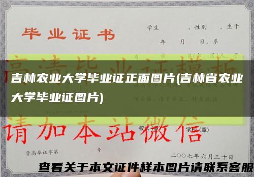 吉林農業大學畢業證正面圖片(吉林省農業大學畢業證圖片)縮略圖