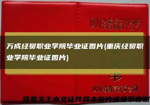 萬成經貿職業學院畢業證圖片(重慶經貿職業學院畢業證圖片)縮略圖