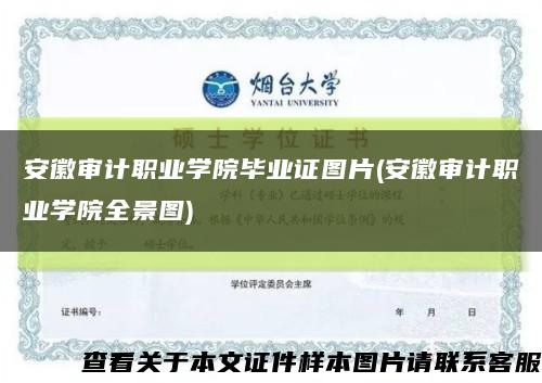 安徽審計職業學院畢業證圖片(安徽審計職業學院全景圖)縮略圖