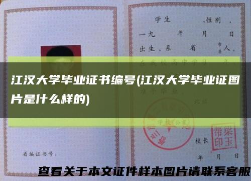江漢大學畢業證書編號(江漢大學畢業證圖片是什么樣的)縮略圖
