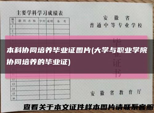 本科協同培養畢業證圖片(大學與職業學院協同培養的畢業證)縮略圖