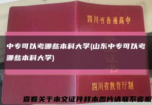 中?？梢钥寄男┍究拼髮W(山東中?？梢钥寄男┍究拼髮W)縮略圖