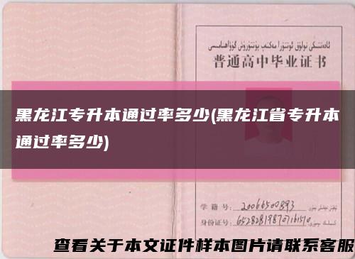 黑龍江專升本通過率多少(黑龍江省專升本通過率多少)縮略圖