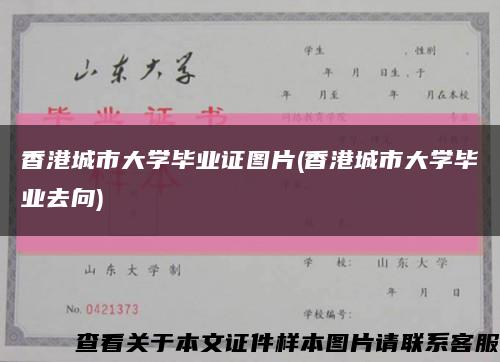 香港城市大學畢業證圖片(香港城市大學畢業去向)縮略圖