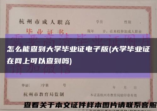 怎么能查到大學畢業證電子版(大學畢業證在網上可以查到嗎)縮略圖