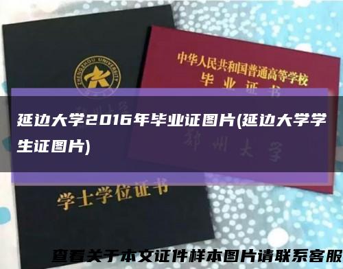 延邊大學2016年畢業證圖片(延邊大學學生證圖片)縮略圖