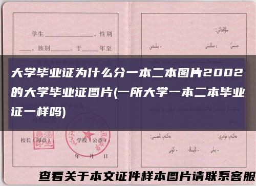 大學畢業證為什么分一本二本圖片2002的大學畢業證圖片(一所大學一本二本畢業證一樣嗎)縮略圖