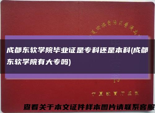 成都東軟學院畢業證是?？七€是本科(成都東軟學院有大專嗎)縮略圖