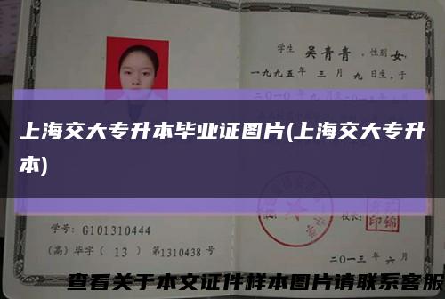 上海交大專升本畢業證圖片(上海交大專升本)縮略圖