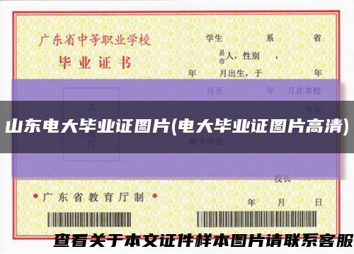 山東電大畢業證圖片(電大畢業證圖片高清)縮略圖