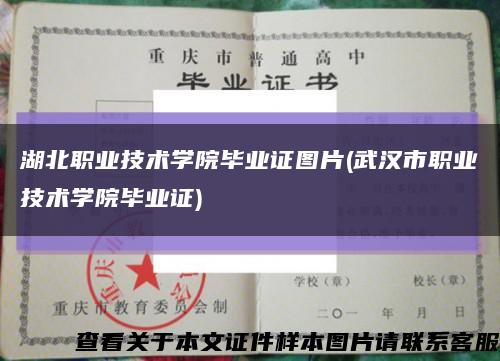 湖北職業技術學院畢業證圖片(武漢市職業技術學院畢業證)縮略圖