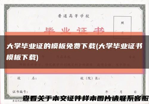 大學畢業證的模板免費下載(大學畢業證書模板下載)縮略圖