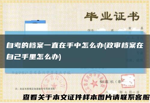 自考的檔案一直在手中怎么辦(政審檔案在自己手里怎么辦)縮略圖