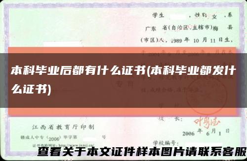本科畢業后都有什么證書(本科畢業都發什么證書)縮略圖