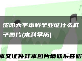 沈陽大學本科畢業證什么樣子圖片(本科學歷)縮略圖