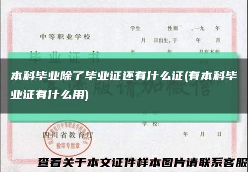 本科畢業除了畢業證還有什么證(有本科畢業證有什么用)縮略圖