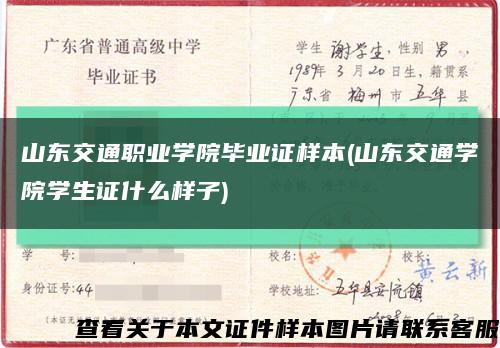 山東交通職業學院畢業證樣本(山東交通學院學生證什么樣子)縮略圖
