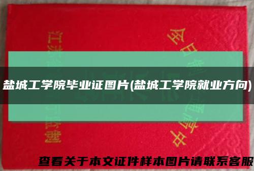 鹽城工學院畢業證圖片(鹽城工學院就業方向)縮略圖