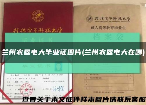 蘭州農墾電大畢業證圖片(蘭州農墾電大在哪)縮略圖