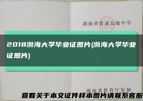 2018渤海大學畢業證圖片(渤海大學畢業證照片)縮略圖