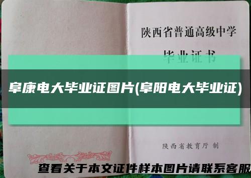 阜康電大畢業證圖片(阜陽電大畢業證)縮略圖