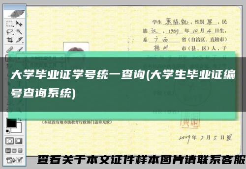 大學畢業證學號統一查詢(大學生畢業證編號查詢系統)縮略圖