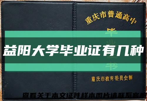 益陽大學畢業證有幾種縮略圖