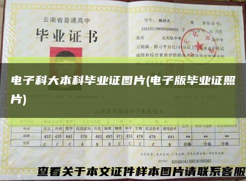 電子科大本科畢業證圖片(電子版畢業證照片)縮略圖