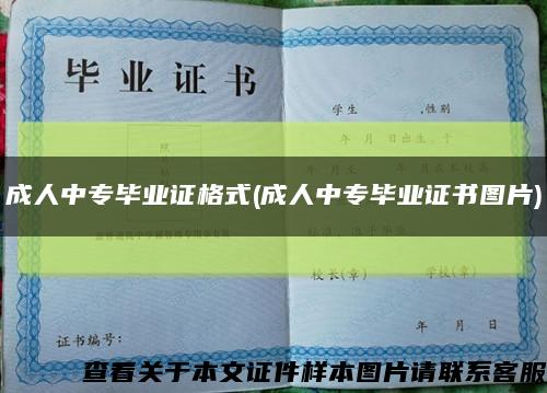 成人中專畢業證格式(成人中專畢業證書圖片)縮略圖