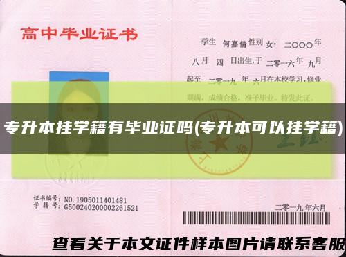 專升本掛學籍有畢業證嗎(專升本可以掛學籍)縮略圖