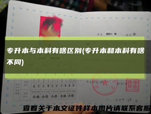專升本與本科有啥區別(專升本和本科有啥不同)縮略圖
