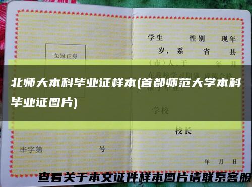 北師大本科畢業證樣本(首都師范大學本科畢業證圖片)縮略圖