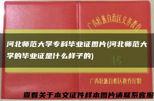 河北師范大學?？飘厴I證圖片(河北師范大學的畢業證是什么樣子的)縮略圖