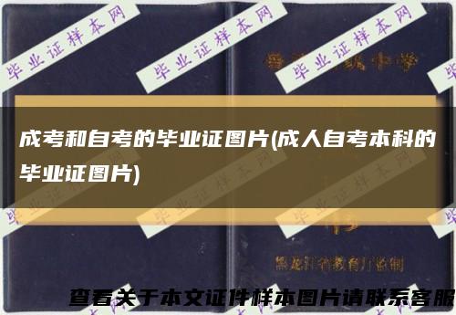 成考和自考的畢業證圖片(成人自考本科的畢業證圖片)縮略圖