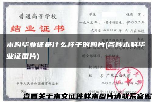 本科畢業證是什么樣子的圖片(各種本科畢業證圖片)縮略圖